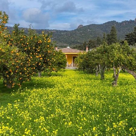 A Charming Country Cottage + Bikes And Kayaks Bosa Eksteriør bilde
