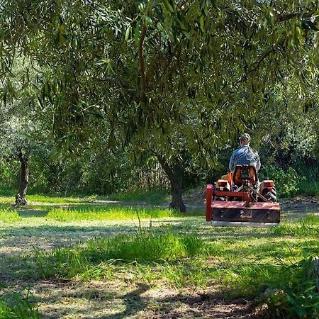 A Charming Country Cottage + Bikes And Kayaks Bosa Eksteriør bilde