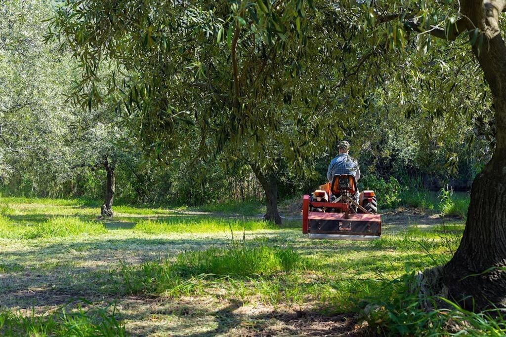 A Charming Country Cottage + Bikes And Kayaks Bosa Eksteriør bilde