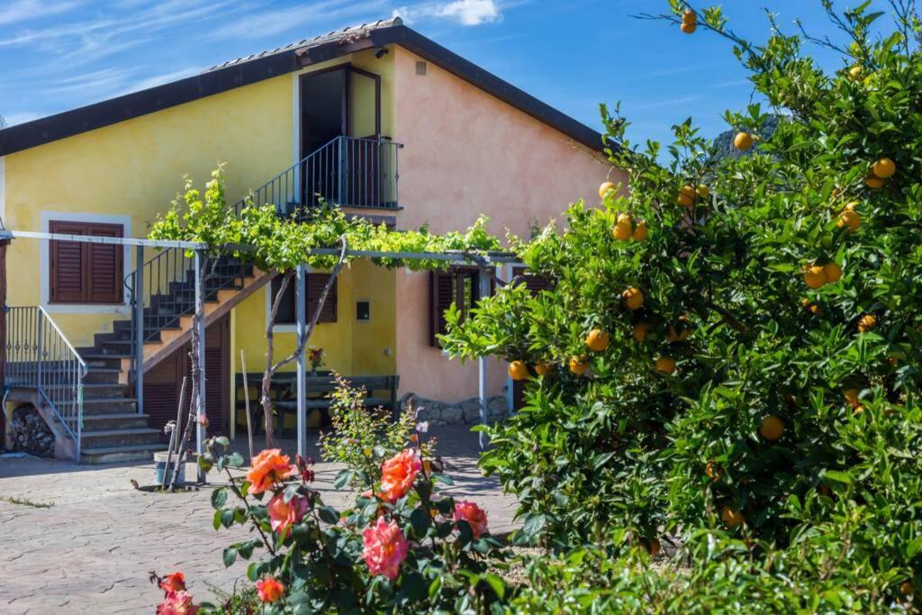 A Charming Country Cottage + Bikes And Kayaks Bosa Eksteriør bilde