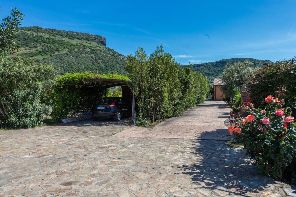 A Charming Country Cottage + Bikes And Kayaks Bosa Eksteriør bilde